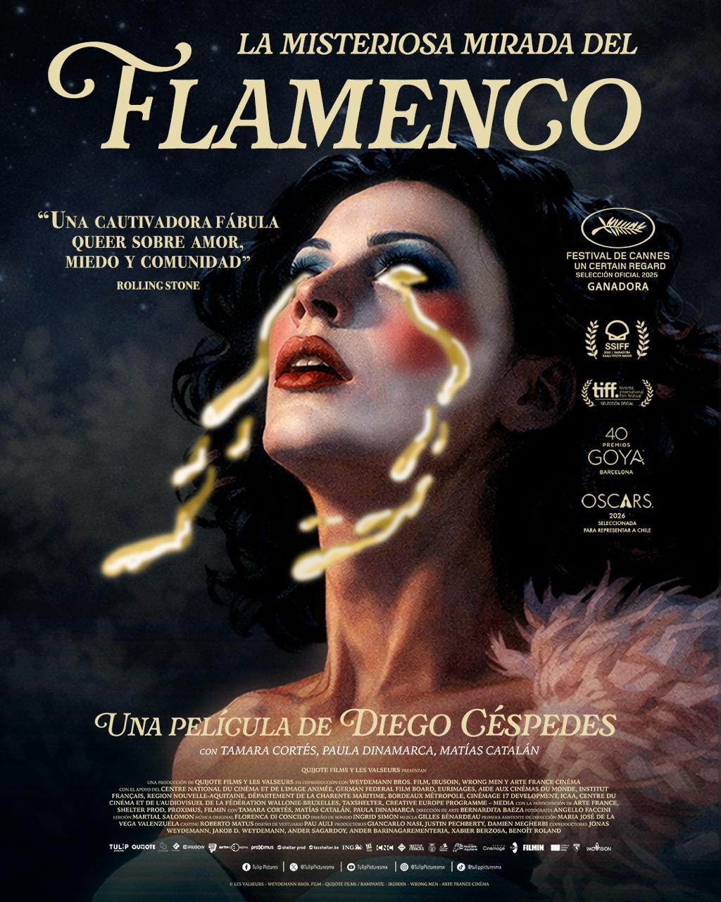 La misteriosa mirada del flamenco