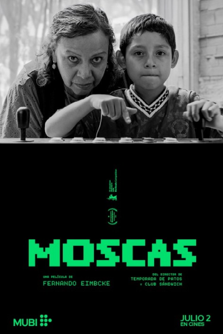 Moscas